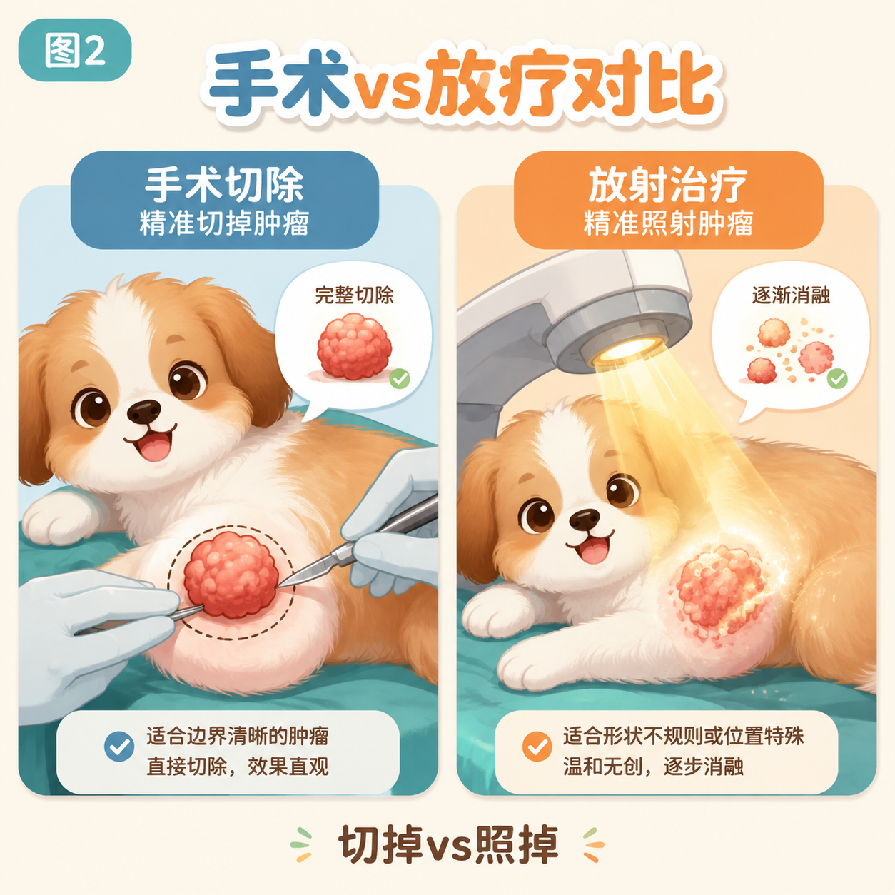 手术“切掉” vs 放疗“照掉”