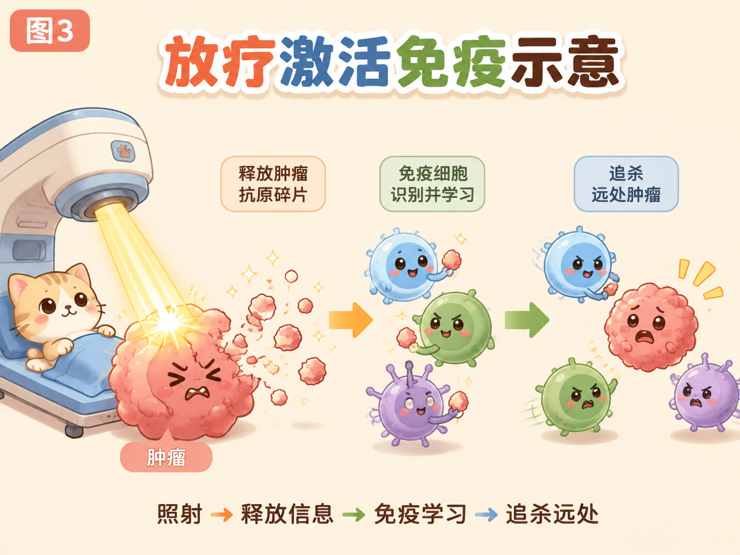 远隔效应：照A处、B处缩小