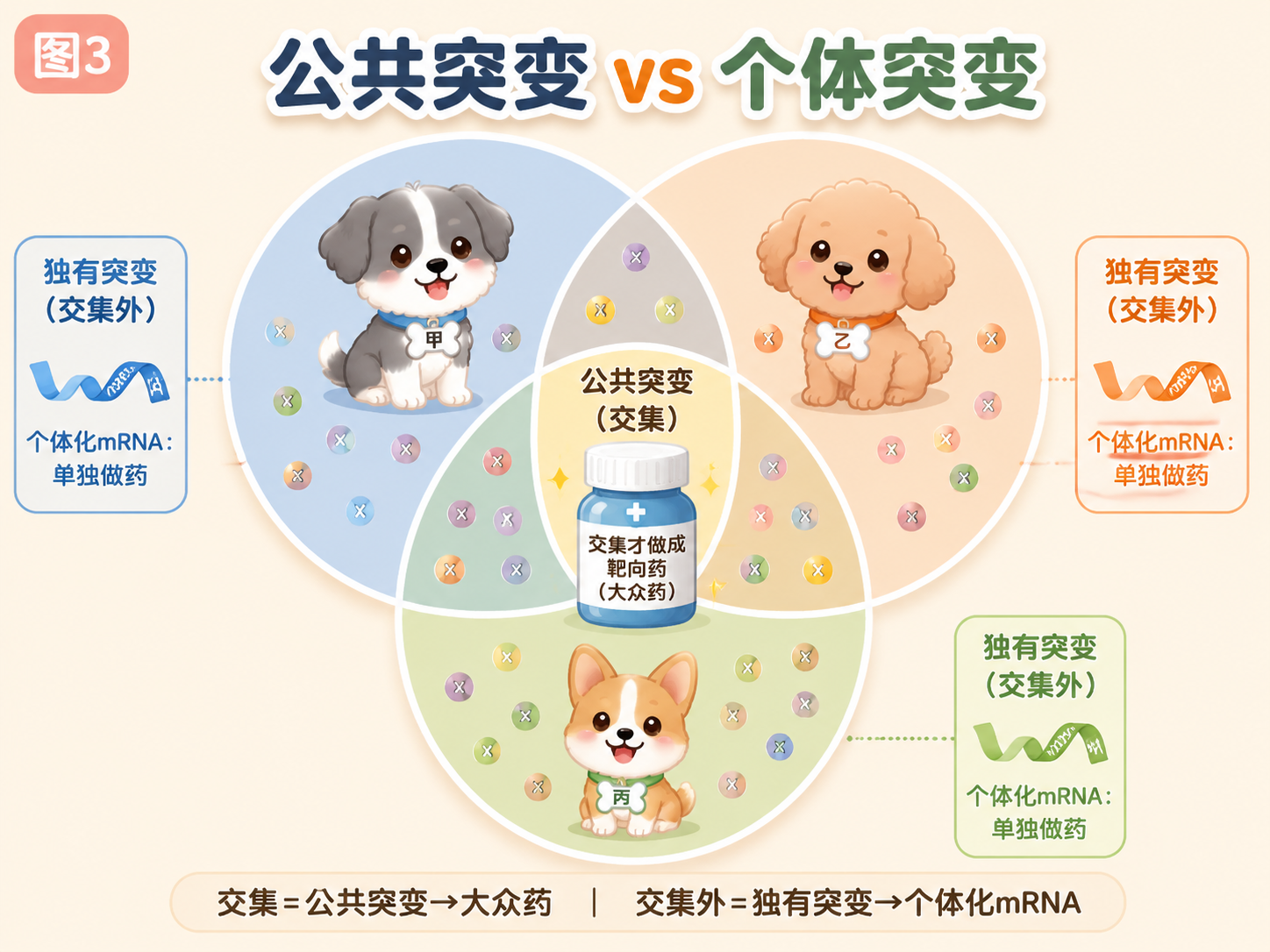 公共突变 vs 个体突变