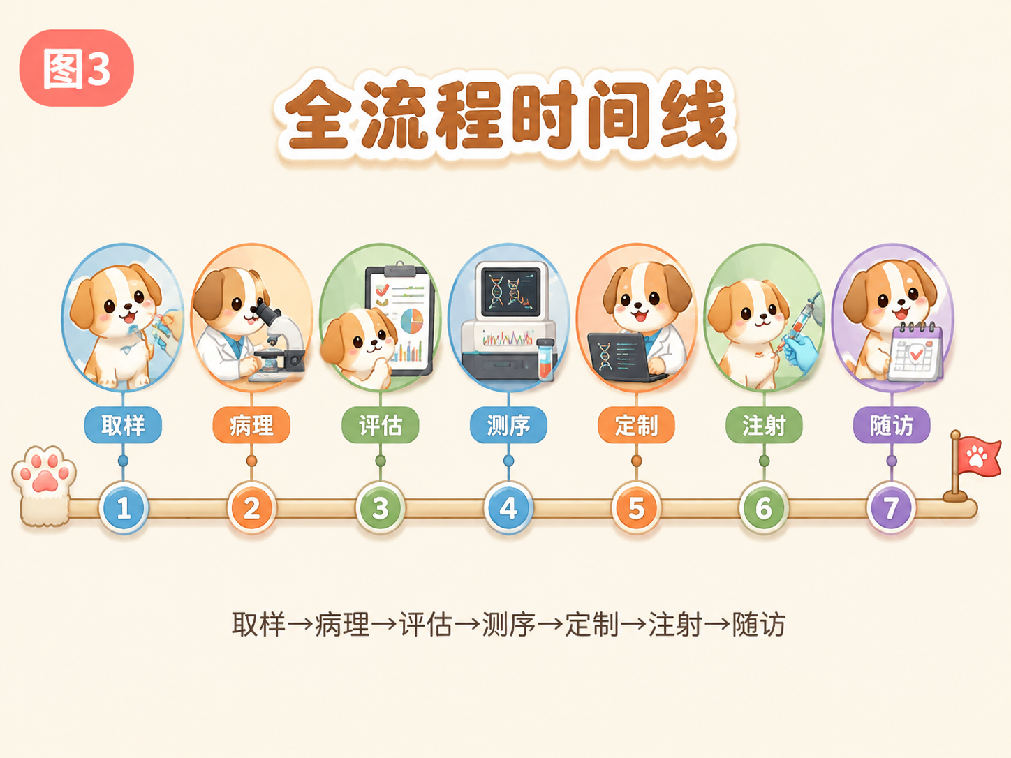 全流程时间线