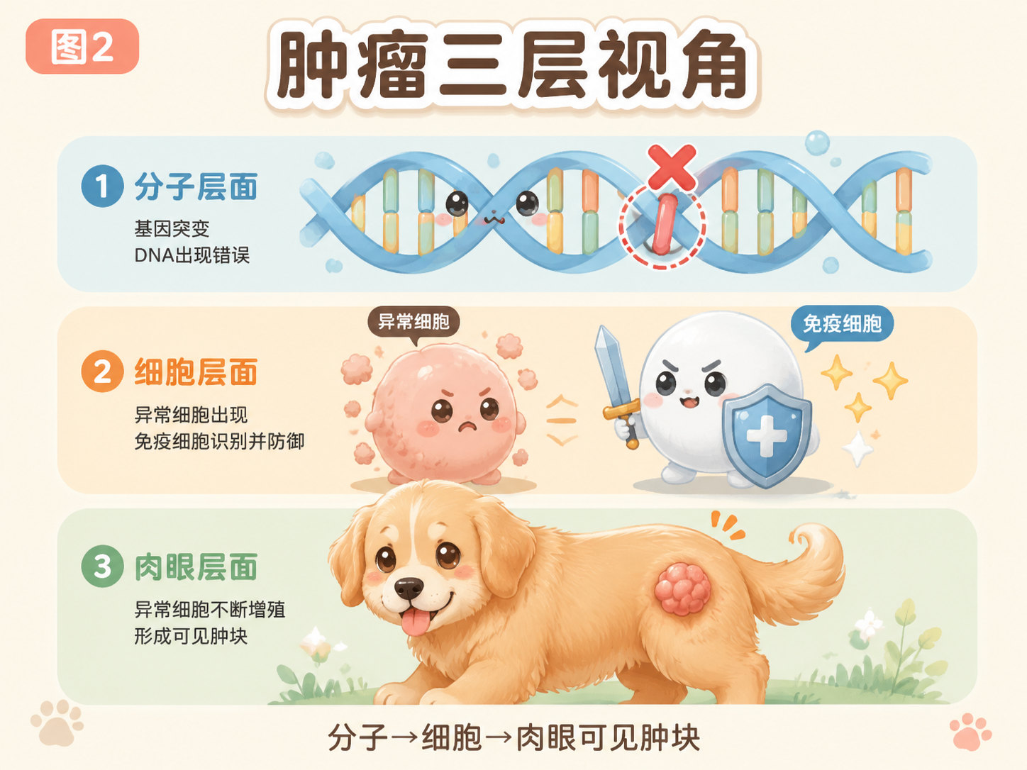 肿瘤三层视角：分子→细胞→肉眼可见