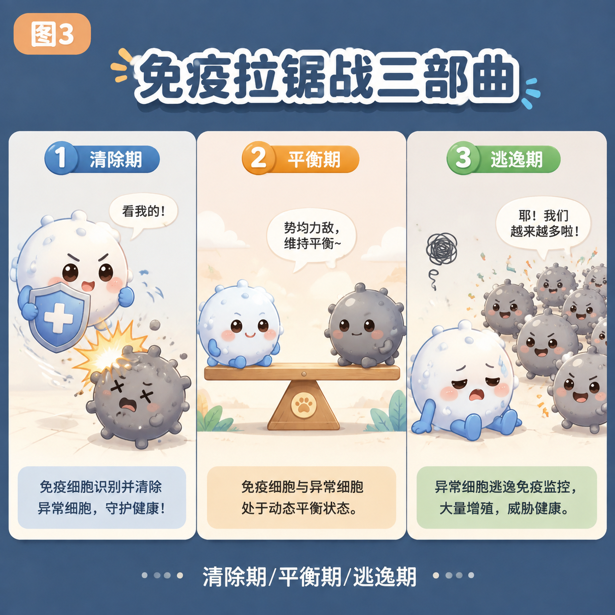 免疫拉锯战三部曲：清除→平衡→逃逸