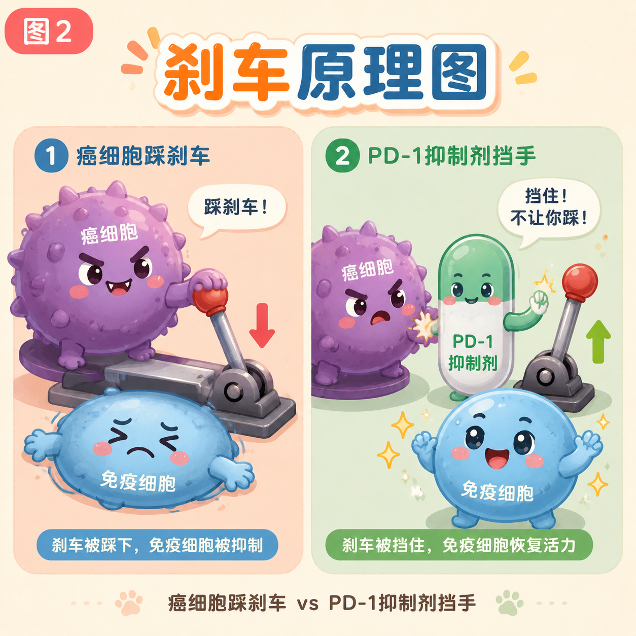 刹车原理：癌细胞踩刹车 vs 抑制剂挡手
