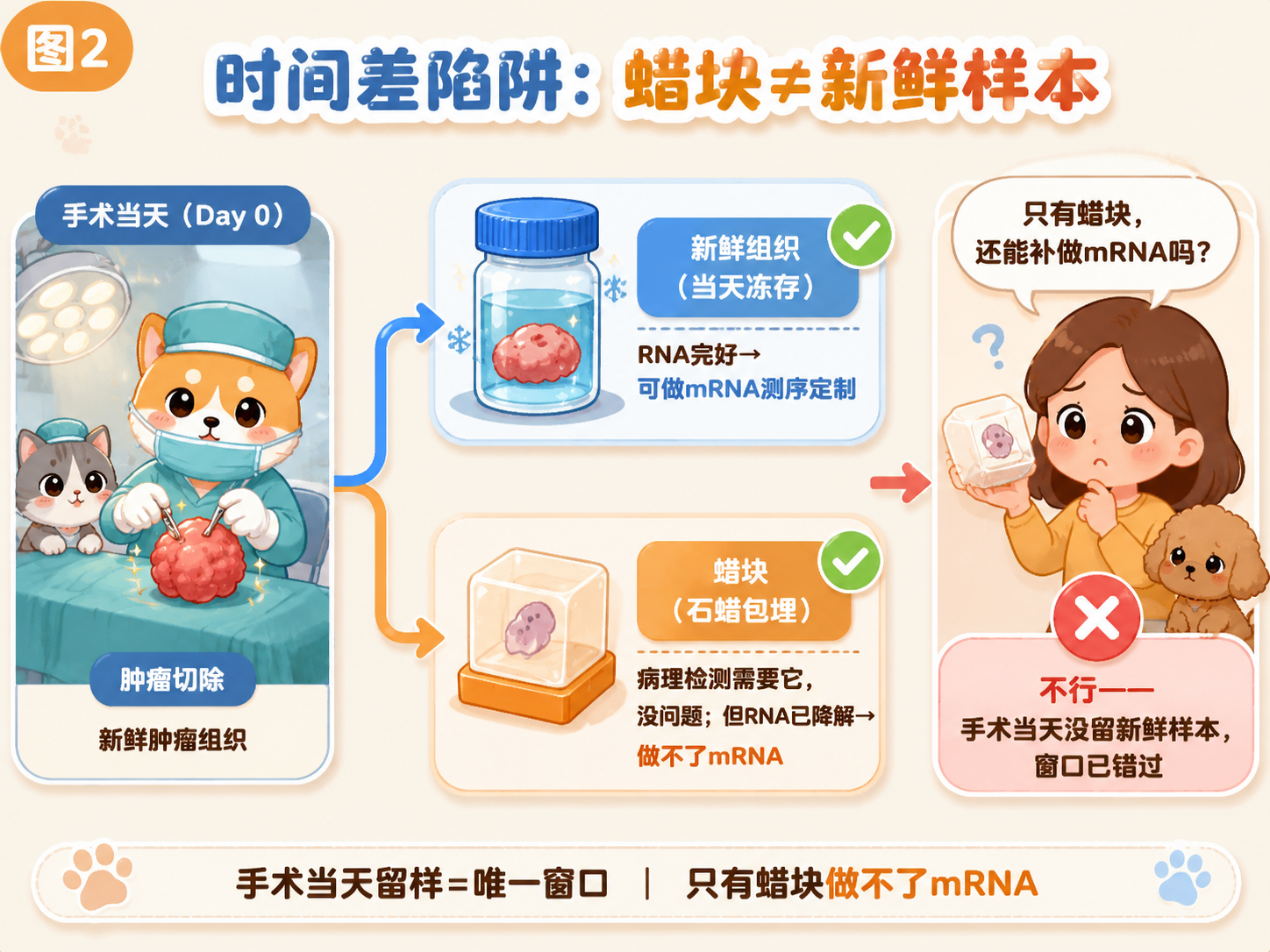 时间差陷阱：蜡块≠新鲜样本